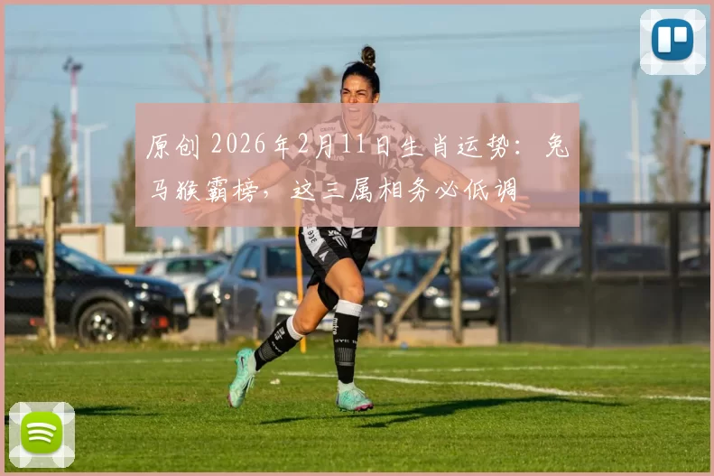 原创 2026年2月11日生肖运势：兔马猴霸榜，这三属相务必低调