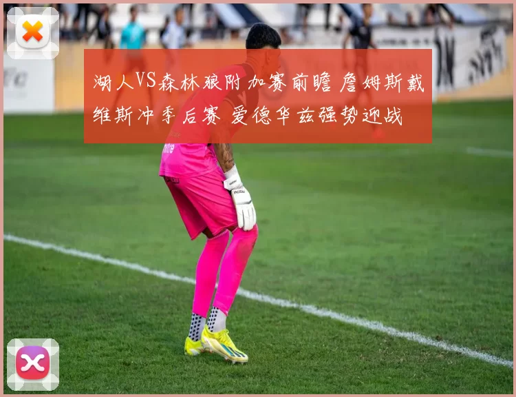 湖人VS森林狼附加赛前瞻 詹姆斯戴维斯冲季后赛 爱德华兹强势迎战