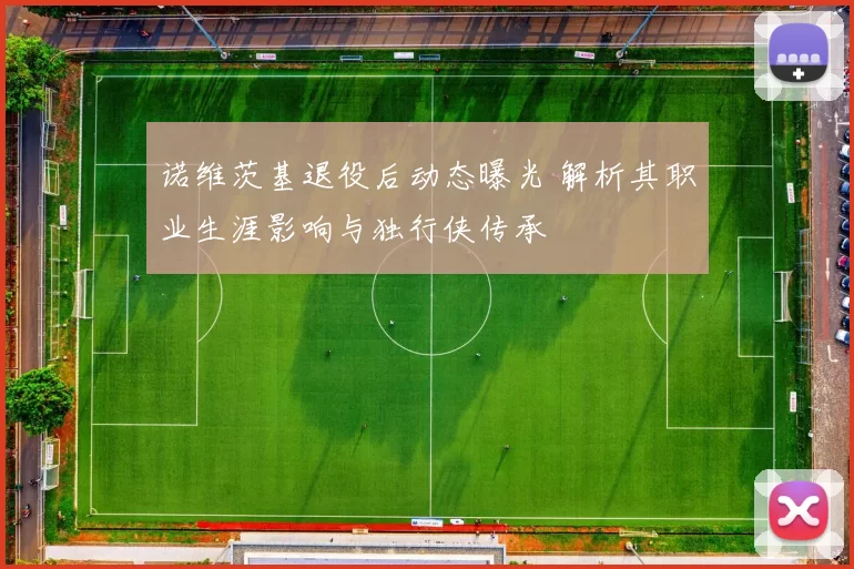 诺维茨基退役后动态曝光 解析其职业生涯影响与独行侠传承